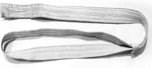 8.2ft 2.5m Aerial Straps Ropes Yoga Aerial Acrobatics Body Aerial Loop Trapeze Circus Apparatuses Equipment Three-Layer Straps 1 pairs in Saudi Arabia