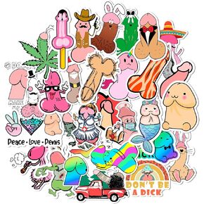 30Pcs Cute Adults Vinyl Sticker Waterproof, Vinyl Stickers for Aldult, Funny Decal Vinyl for Water Bottle, Car, Laptop, Phone, Skateboard