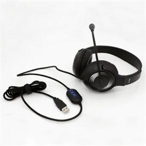 Avid AE-55 Black and Silver Headphone with Microphone and USB 2.0 Plug