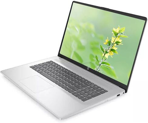 HP 17 17.3" HD+ Touchscreen Business Laptop Computer [Windows 11 Pro S], Intel Pentium Silver N5030, 8GB RAM, 256GB PCIe SSD, Numeric Keypad, Wi-Fi 5, BT 5.0, HDMI, USB, w/Battery in Saudi Arabia