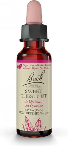 Bach Original Flower Remedies, Pine for Self Respect (Non-Alcohol Formula), Natural Homeopathic Flower Essence, Holistic Wellness and Stress Relief, Vegan, 10mL Dropper in Kuwait