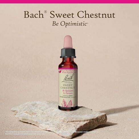 Bach Original Flower Remedies, Pine for Self Respect (Non-Alcohol Formula), Natural Homeopathic Flower Essence, Holistic Wellness and Stress Relief, Vegan, 10mL Dropper in Kuwait