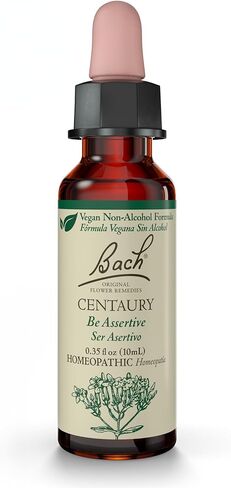 Bach Original Flower Remedies, Pine for Self Respect (Non-Alcohol Formula), Natural Homeopathic Flower Essence, Holistic Wellness and Stress Relief, Vegan, 10mL Dropper in Kuwait