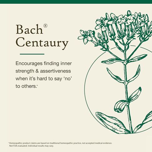 Bach Original Flower Remedies, Pine for Self Respect (Non-Alcohol Formula), Natural Homeopathic Flower Essence, Holistic Wellness and Stress Relief, Vegan, 10mL Dropper in Kuwait