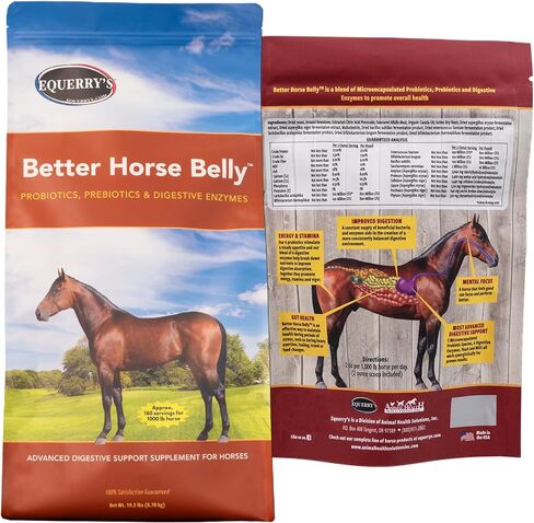 1.1LB Better Horse Belly in Kuwait