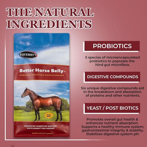 1.1LB Better Horse Belly in Kuwait