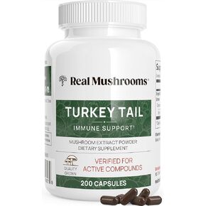 Real Turkey Tail Powder - Organic Mushroom Supplement with Potent Mushroom Extract for Gut, Energy, Brain, & Immune Support - Vegan, Non-GMO, 45 Servings