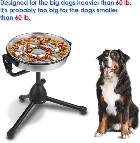Slow Feeder Dog Bowls and Dog Water Bowl No Spill, Dog Water Food Dispenser to Slow Down Eating for Small Breed Size Dogs and Cats in Saudi Arabia
