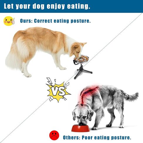Slow Feeder Dog Bowls and Dog Water Bowl No Spill, Dog Water Food Dispenser to Slow Down Eating for Small Breed Size Dogs and Cats in Saudi Arabia