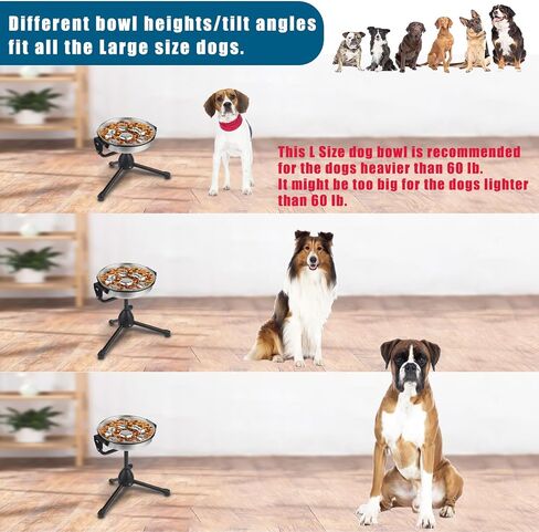 Slow Feeder Dog Bowls and Dog Water Bowl No Spill, Dog Water Food Dispenser to Slow Down Eating for Small Breed Size Dogs and Cats in Saudi Arabia