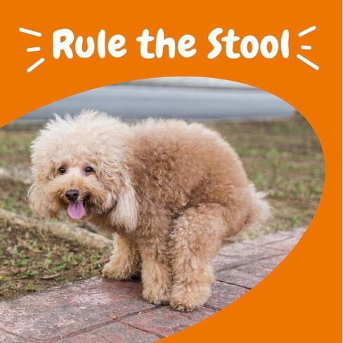 Zesty Paws Solid Poop Support Bites for Dogs - Dog Stool Hardener - Pumpkin for Dogs Dog Fiber Supplement, Prebiotics & Probiotics - Veterinarian Formulated Chews - Diarrhea Relief for Dogs - 90 Ct in Saudi Arabia