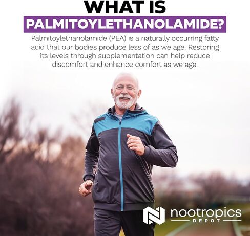 Nootropics Depot Palmitoylethanolamide (Pea) 400mg Capsules | Micronized Pea | Joint, Nerve, & Cellular Support | Daily Comfort | High Purity | Supplement for Women and Men | 60ct in Saudi Arabia