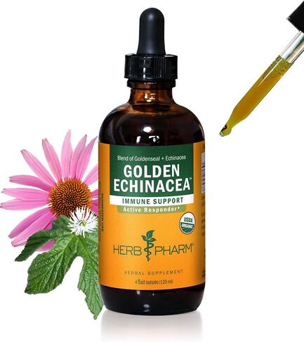 Herb Pharm Certified Organic Golden Echinacea Liquid Extract for Immune System Support - 4 Ounce in Kuwait