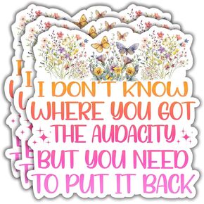 (3Pcs) I Don't Know Where You Got The Audacity But You Need to Put It Back Funny Quotes Vinyl Stickers Durable for Laptops Water Bottles Phones Tumblers Notebooks Cars Mugs Size 3 x 3 Inch