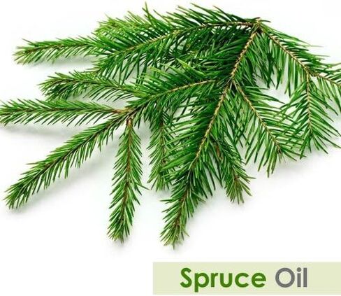 SHIKAKAI Oil 100% Natural Pure UNDILUTED Uncut Oil (0.51 Fl Oz (Pack of 1)) in Saudi Arabia