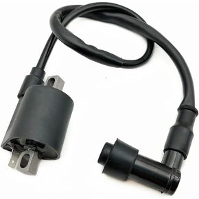 Ignition Coil Motorcycle Accessories for Kawasaki KX60 KX80 KX85 KX125 KDX200 CG125 CG150 CG200 CG250 for Yamaha PW 50 PW50 PW 80 PW80 1981-2009 ATV Scooter Moped GO-KART