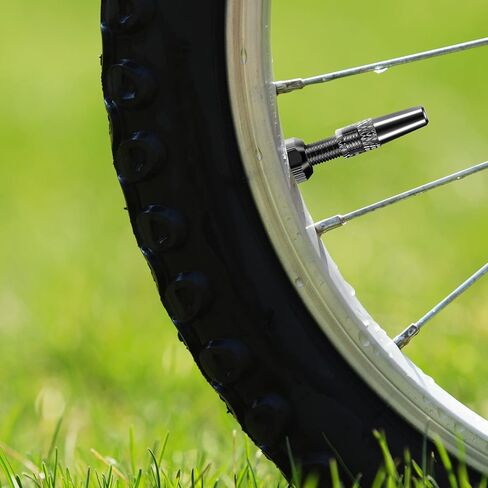 20 قطعة من قلوب صمام بريستا، 10 قطع من غطاء صمام بريستا مع وظيفة إزالة صمام القلب، أغطية إطارات الدراجة، أغطية الغبار، مجموعة أدوات إزالة صمام بريستا الأساسية in Kuwait