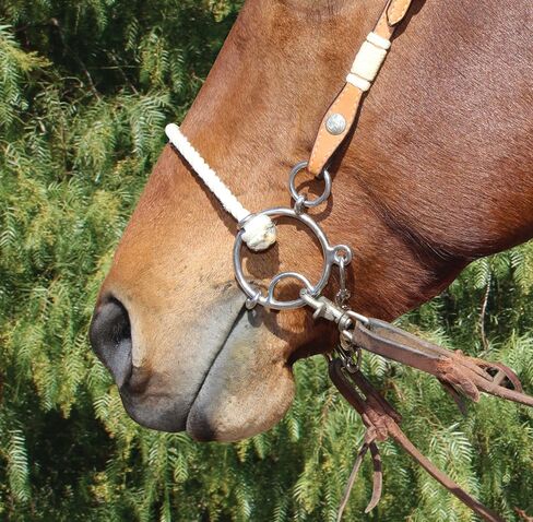 Professional's Choice Sports Medicine Products Combo Snaffle Horse Bits - Twisted Wire - Smooth Ring - Lifesaver Horse Mouth Piece in Saudi Arabia