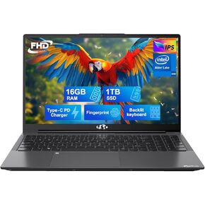 NIMO 15.6 IPS FHD-Laptop, 16GB RAM 1TB SSD Intel Pentium Quad Core N100, Computer with Backlit Keyboard Fingerprint (Beat to i3-1115G4 Up to 3.4GHz) Laptops for Student, Win 11 Gray