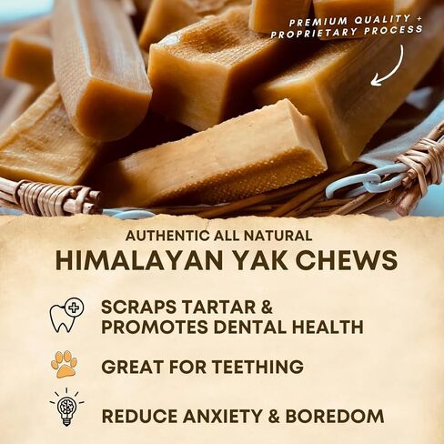 Himalayan Yak Cheese Dog Chews – Long-Lasting Natural Chews for Aggressive Chewers – 2-Ingredient, High Protein, Odorless, Dental Health Treats for Dogs (Large, 4 Pack) in Saudi Arabia