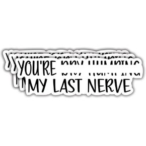(3Pcs) You are My Last Nerve Funny Vinyl Sticker - Decal for Water Bottles, Books, Laptops, Phones, Tumblers, Size 1 x 3 Inch