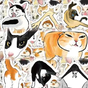 63 Funny Cat Stickers, Cute Waterproof Pet Sticker Pack for Kids Teens Adults Girls Boys, Vinyl Kitties Puppies Decals for Laptop Computer Suitcase Notebook, Sticker with Collecting Box