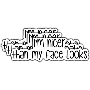 (3Pcs) I'm Nicer Than My Face Looks Sticker Funny Quote Sarcastic Decals Waterproof Vinyl Sticker for Books Laptops Phone Water Bottles Tumbler Cup Kindle 3 Inch