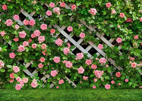 LTLYH Vinyl 10x8ft Valentine's Day Flowers Backdrop, Green Leaf Fence, Birthday Party Decoration, Wedding Backdrop, Photo Studio Props in Saudi Arabia