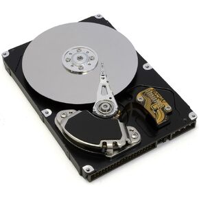 WESTERN DIGITAL, Western Digital VelociRaptor WD3000HLFS 300 GB Internal Hard Drive - Bulk (Catalog Category: Computer Technology / Storage Components)