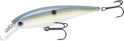 LUCKY CRAFT Pointer 78SP Fishing Lures, 3" Freshwater Bass & Trout Lures, Suspending 4ft-5ft Depth, Jerkbait, Bass Fishing Gear and Accessories, Ghost & Aurora in Saudi Arabia
