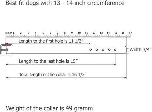 CollarDirect Studded Dog Collar Leather Pet Collars for Dogs Small Medium Large Puppy Soft Padded Brown Black (Black, Neck fit 20" - 22") in Saudi Arabia