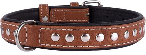 CollarDirect Studded Dog Collar Leather Pet Collars for Dogs Small Medium Large Puppy Soft Padded Brown Black (Black, Neck fit 20" - 22") in Saudi Arabia
