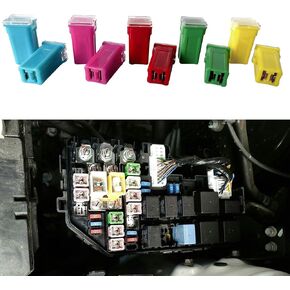 10PCS Car Fuses Assortment Kit, Automotive Replacement Fuses, Automotive Low Profile Box Shaped Fuse Kit, 20A 30A 40A 50A 60A Car Fuse for Most Trucks Cars SUVs (Short)