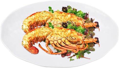 Yalin Oval Large Serving Platter, 16 Inch Melamine Serving Tray, Great for Restaurant, Steak, Salad and Everyday, Set of 2 White Dinner Plates in Kuwait