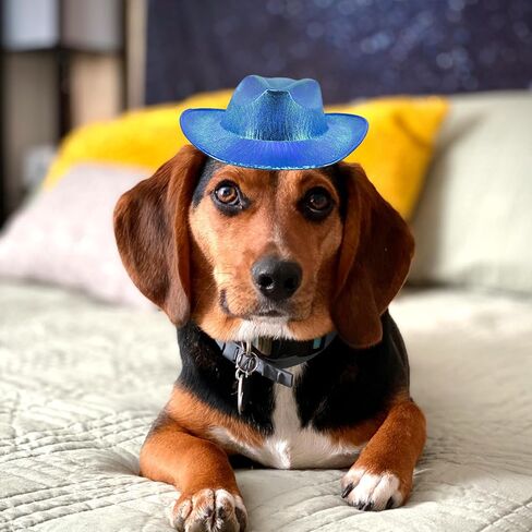Dog Cowboy Hat Dog Cat Cowboy Hat Costume Bandana West Cowboy Accessories for Pet Metallic Space Shiny Cowboy Hats for Dog Cat (Blue) in Kuwait