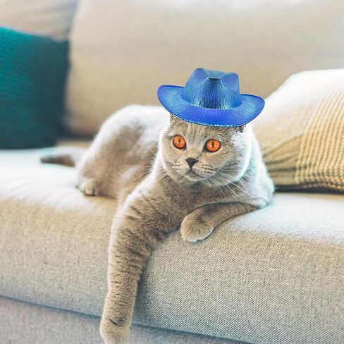 Dog Cowboy Hat Dog Cat Cowboy Hat Costume Bandana West Cowboy Accessories for Pet Metallic Space Shiny Cowboy Hats for Dog Cat (Blue) in Kuwait