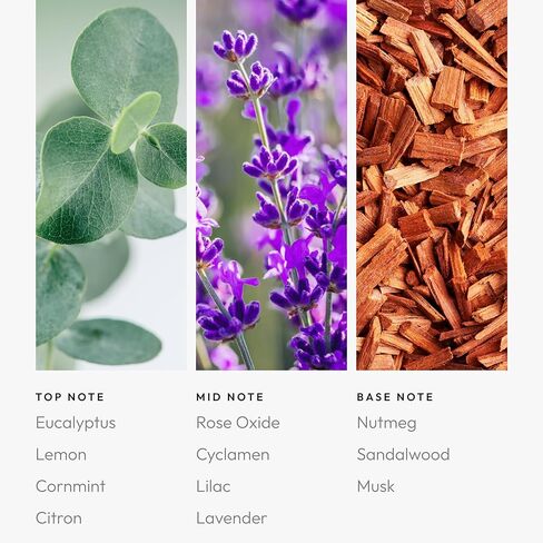 Aroma360 | Disney Reflection Pro- Pod Fragrance Oil Blend | Disney Princess Mulan | Luxury Essential Diffuser Oil | Aromatherapy Scent Diffuser Oil | Bergamot, Nutmeg and Jasmine 1.7 fl oz 50mL in Kuwait