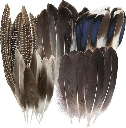 12Pcs Hat Feathers for Cowboy Hats, Small Feathers for Hats, Natural Assorted Feathers Cowboy Hat Feather, Colorful Craft Feathers Hat Feathers for DIY Craft Accessories Decorations (12 Style) in Saudi Arabia