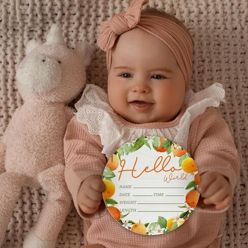Baby Announcement Sign for Newborn Boys or Girls, Hello World Newborn Sign, Nursery Wall Decor, Baby Name Sign, Butterfly Boho Theme Birch Wood 6 inch Circle Board Birth Stat Sign, Newborn Gifts in Saudi Arabia