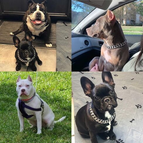 Stainless Steel Silver Gold Dog Collars with Safety Buckle Lock,18K Cuban Link Chain Training Collar,15MM Strong Dog Necklace Heavy Duty Chew Proof for Small Medium Large Dog in Saudi Arabia