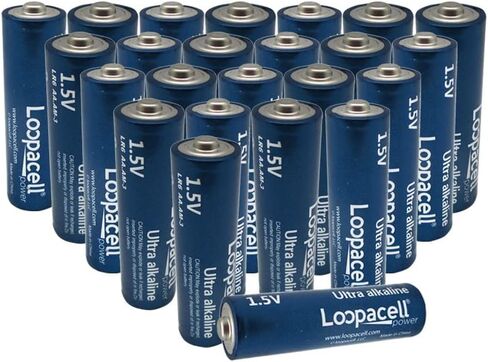 AAA Alkaline Batteries (Pack of 24) 1.5V - Includes Battery Organizer Kit in Kuwait