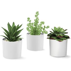 Hopewood Succulent Plants Artificial in White Pots Small Faux Potted Succulents Fake Plants in Vase Set of 3