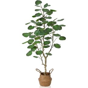 Kazeila Artificial Aralia Balfour Tree,Fake Greenery Plant,Come with Woven Seagrass Belly Basket,Indoor Modern Decoration,5 Feet