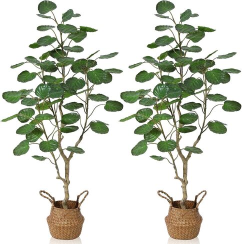Kazeila Artificial Aralia Balfour Tree,Fake Greenery Plant,Come with Woven Seagrass Belly Basket,Indoor Modern Decoration,5 Feet in Saudi Arabia