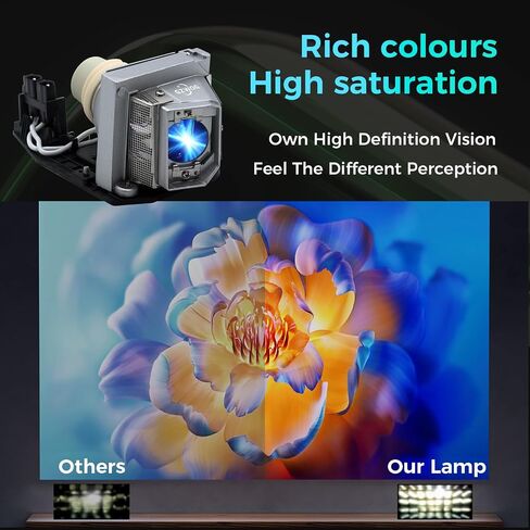 RLC-103 Hight Quality Replacement Projector Lamp Bulb for Viewsonic PG800W PG800HD PG800X PRO8510L Pro8510L Pro8520WL Pro8530HDL Pro8800WUL with Housing in Kuwait