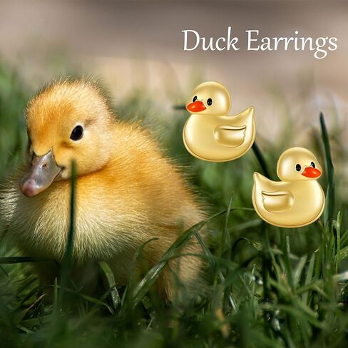 Chicken Earrings S925 Sterling Silver Chicken Turkey Stud Earrings Cute Chicken Jewelry for Women for Chicken Lovers in Kuwait