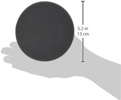 Festool 492377 Platin 2 S4000 Grit 5-Inch (125mm) Diameter Abrasive Sanding Discs, 15-Pack in Saudi Arabia