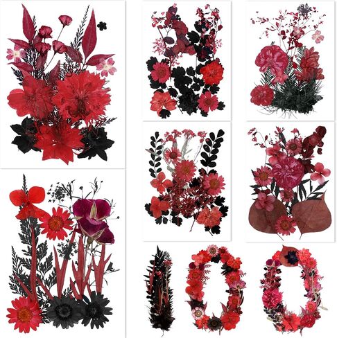 BIHRTC 100pcs Black Pressed Flower Kit Real Natural Assorted Dry Greenery Dried Pressed Leaf for Scrapbooking DIY Candle Accessories Jewelry Crafts Making DIY Art Crafts Cake Deco in Saudi Arabia
