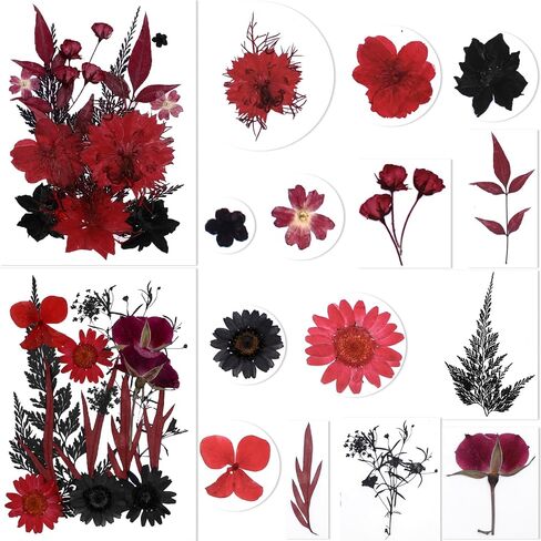 BIHRTC 100pcs Black Pressed Flower Kit Real Natural Assorted Dry Greenery Dried Pressed Leaf for Scrapbooking DIY Candle Accessories Jewelry Crafts Making DIY Art Crafts Cake Deco in Saudi Arabia