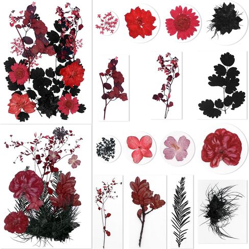 BIHRTC 100pcs Black Pressed Flower Kit Real Natural Assorted Dry Greenery Dried Pressed Leaf for Scrapbooking DIY Candle Accessories Jewelry Crafts Making DIY Art Crafts Cake Deco in Saudi Arabia